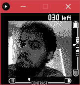 GameBoy Camera Clone running in Java on a PC